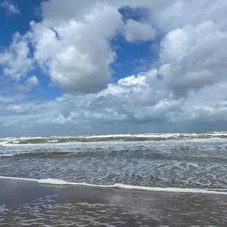 Eb&vloed * Petten